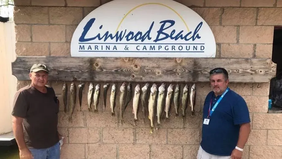 Best Baits and Techniques for Walleye Fishing in Saginaw Bay